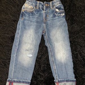 Cat Jack Toddler Jeans